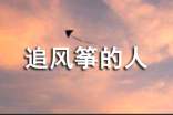 追風(fēng)箏的人讀書筆記心得